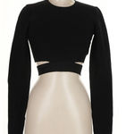 Babaton Ten by  Aritzia Shirt Photo 0