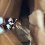 Free People Marietta Snake Heeled Ankle Booties Size 37 Photo 7