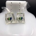 Beautiful Tropical Fish Earrings Photo 1