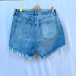 Free People | NWOT CRVY VINTAGE HIGH RISE CUT OFF DENIM JEAN SHORTS SIZE 31 Photo 6