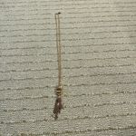 Kendra Scott  Rayne Rose Gold Tassel Drop Long Necklace Photo 1