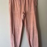 Aerie  velour joggers Photo 1