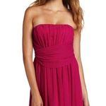 Max and Cleo  • Katrina mini Photo 0