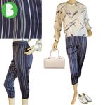 Ann Taylor PETITE NAVY BLUE W/SILVER & TAN STRIPES SATIN CROPPED PANTS (4P) Photo 1