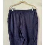 Eileen Fisher NWT Sandwashed Silk Charmeuse Ankle Pants Midnight Blue Medium Photo 3