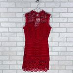 Lovers + Friends  Blush Lace Mini Dress in Poppy Red Size XS Photo 3