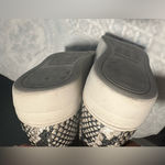 ALDO  Black and Cream Snakeskin Sneakers Photo 6