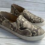 Steve Madden  Slip Ons Vans Slides Model Womens Size 8.5 Photo 0