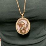 Betsey Johnson  Gold and Pink Snake Necklace Photo 1