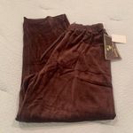 Jane Ashley NWT  Woman Espresso Chocolate Brown Velour Pants 1X Photo 0