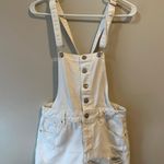 PacSun  Overalls Photo 1