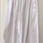 Blair FINAL MARKDOWN Ladies  crinkle slacks 16 petite Photo 0