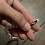 Zales  925 Genuine Freshwater Pearl Necklace Photo 6