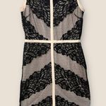 Adelyn Rae  Lace Bodycon Dress M Illusion Mesh Black & Nude Evening Bandage Style Photo 0