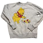 Disney  Winnie the Pooh Embroidered Flowers Graphic Sweatshirt. Gray. Size XS Photo 1