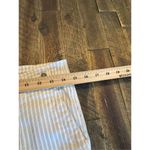 Pilcro and the Letterpress  high rise skinny pants size 28 striped Anthropologie Photo 5