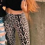 American Threads Cheetah Pants Photo 0