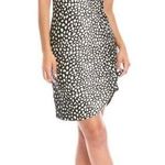 Tommy Bahama Darcy Darling Dots Black and White Dress Size Large Modal Blend Photo 0