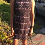 Forever 21 Lace Dress Photo 0