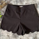 Cato Elegant Black Scalloped Women's Shorts Photo 0