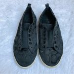 Coach Lucey Signature Canvas Slip On No Lace Shoe Women 8B Low Top Black Photo 2