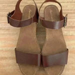 American Eagle 9.5 Women Brown Faux Wood Ankle Strap Clog Heel Platform Sandals Photo 0