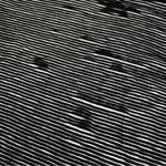 Dolan Left Coast Black Ribbed Off Shoulder Cowl Neck Sweater Size L Photo 7