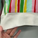 Champion x Urban Outfitters Reverse Weave Watermelon Multicolor Stripe Hoodie S Photo 11