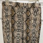 Hera Collection Celebrity Fashion by Python Leggings Photo 4