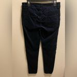 J. McLaughlin  Watson Blue Velvet Jeans Size 8. Photo 6
