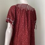Madewell Rusted Burgundy Red Embroidered Tie Puff Sleeve Babydoll Dress Photo 5