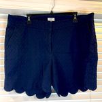 Crown & Ivy , navy shorts Photo 0