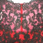 JJ's House A-line Scoop Illusion Asymmetrical Satin Lace Evening Dress Size 18W Photo 8