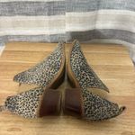 Dolce Vita Samy Cheetah Print Ankle Boot Size 6‎ Brown Photo 5