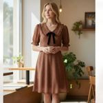 Blu Pepper NWOT POLKA DOT COLLARED VELVET TIE MINI BABYDOLL DRESS RUST BROWN Photo 1