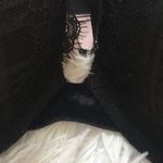 Victoria's Secret VICTORIA’S SECRET T Shirt push up underwire lace bra in black size 34DD Photo 1