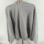 SKIMS NWT Heather gray cotton fleece classic pullover hoodie size 4X Photo 0