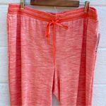 secret treasures  Women’s Knit Joggers 2X New Photo 4