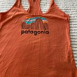 Patagonia Pategonia Tank Top Photo 0