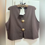 H&M SOLD OUT NEW  Gold Brown Shell Button Cropped Top  Large Vest Photo 4