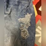 Lane Bryant Skinny Jeans Plus 26 Embellished Flex Magic Waistband Floral Raw Hem Photo 3