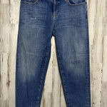 Eileen Fisher Women's High Rise Tapered Jeans Blue Denim Size 4 Photo 0