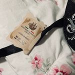 NWT La Maschera Del Galeone Mask Black Photo 2