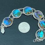 Vintage Blue Morpho Butterfly Wing Reverse Painted Tropical Scene Brazil 20.6g Photo 5