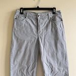 NYDJ Alisha Ankle Size 10 Jeans Denim Lizard Print Gray Casual Crop Pants Photo 1