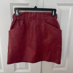 ZARA Leather Skirt Photo 0