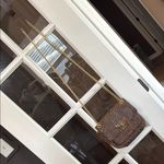 Michael Kors Brown Python Snakeskin & Gold Chain Crossbody Shoulder Bag Photo 7