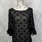 Kate Spade Silk Sheer Polka Dot Evi Flutter Sleeve Black Top Size 00 Photo 11