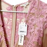 For Love & Lemons  NWT Embroidered Maxi Dress Pink Women’s Size Small Mesh Nude Photo 13