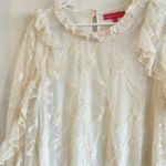 Catherine Malandrino  Ivory Foral Mesh Ruffle Blouse Long Sleeve Peasant Sz XL Photo 3